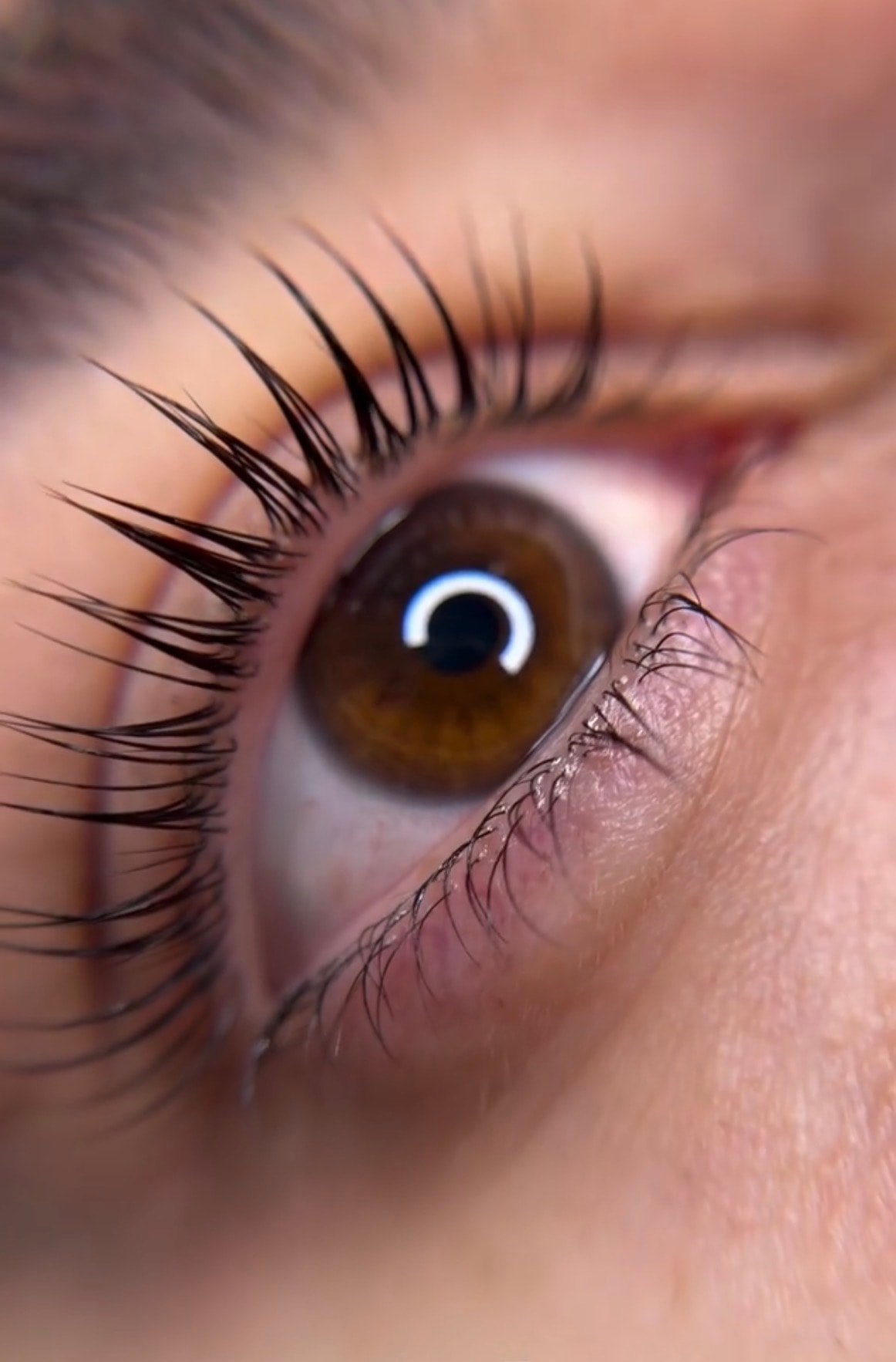 Lash Lift & Tint